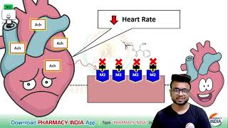 MECHANISM ACTION OF ATROPINE  PHARMACOLOGY [upl. by Kieran]