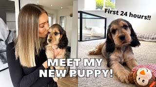 PICKING UP MY NEW COCKER SPANIEL PUPPY FIRST 24 HOURS  vlog [upl. by Ardnaskela688]