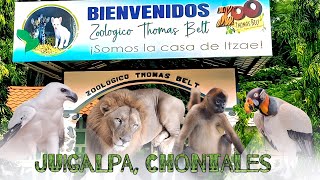 Zoológico Thomas Belt de Juigalpa Chontales zoo adventure [upl. by Ginelle439]