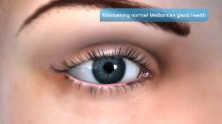 Importance of Meibomian Gland Health [upl. by Zuleika]