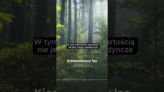 🌳🏢 Mikrolasy w polskich miastach Są wielkości boiska do koszykówki [upl. by Kremer]