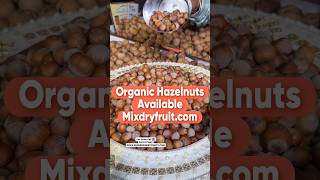 Organic Hazelnuts Available pecannuts dryfruit foodblogger [upl. by Chance]