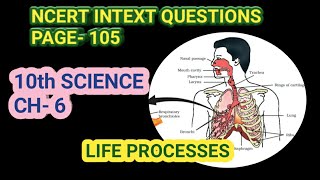 10th Science Ch6 Ncert Intext QuestionsPage105 Study with Farru [upl. by Nitsa486]