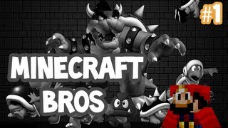 Minecraft Bros  1 [upl. by Dnob]