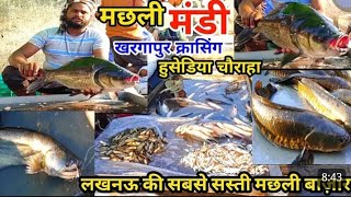 Bhayandar Wholesale Fish Market भायंदर मच्छी मार्केट  Biggest Fish Market In Mira Bhyander vlogs​ [upl. by Nanam386]