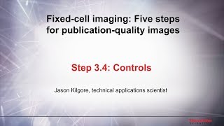 34 Controls–Fixed cell imaging 5 steps for publicationquality images [upl. by Luhem411]