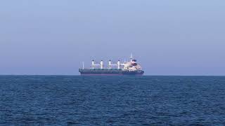 Three cargo ships bulker general gargo at anchorage Baltic Sea View from the Baltic Spit [upl. by Azzil180]