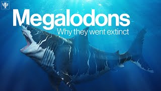 The Truth Behind Why Megalodon Went Extinct  Encyclopaedia Britannica [upl. by Duane]