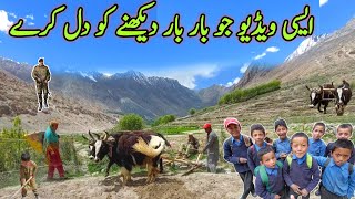 Rural Village Life in Skardu Baltistan  Full Simple Old Culture  Peaceful and natural views [upl. by Anayad]