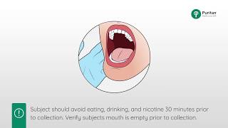 How to Collect a Buccal Swab Sample [upl. by Hatti479]