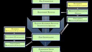 Understanding the Complaint Process [upl. by Eirelav78]