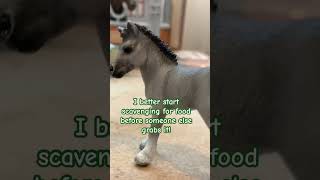 😂😂 schleich horses unboxing schleichhorses models modelhorses horse [upl. by Krispin928]