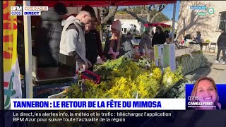 Retour de la fête du mimosa à Tanneron qui a été entièrement décoré [upl. by Nalym]