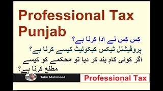 Professional Tax  Professional Tax Punjab Pakistan [upl. by Darahs]