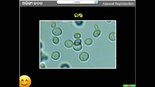 Life Science Class 10 Reproduction Part 02 [upl. by Meeks]