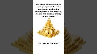 Shree Yantra Benefits 🙏🏻 shreeyantra mantra yantra tips god reikiandvastuworld diwali [upl. by Eynttirb]