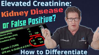 Elevated Creatinine  Kidney Disease or False Positive How to Differentiate [upl. by Brecher]