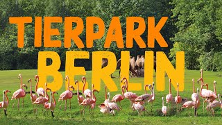 Tierpark Berlin  Zoo Eindruck [upl. by Merritt612]