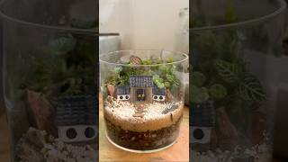 Terrarium making during my day off terrarium landscape garden moss plants serialhobbyist [upl. by Breena]