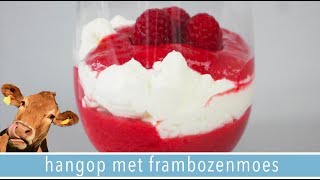 🍧Hangop maken met gezonde frambozenmoes  RENSKE VISSER GEWICHTSCONSULENT [upl. by Eidaj]