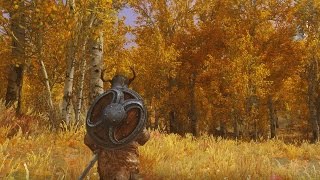 A Walk Through Next Gen Skyrim [upl. by Pontius]