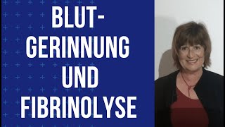 Blutgerinnung und Fibrinolyse [upl. by Googins785]