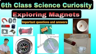 EXPLORING MAGNETS 6th class science curiosity important questions and answerssamyans academy [upl. by Aidnyc352]