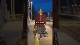 Unbelievable Loyalty The Hachiko Story in 60 Seconds 😱😬 [upl. by Maiga]