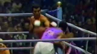 Teofilo Stevenson Cuba vs Phil Brown USA 11021979 La Havane [upl. by Nosyarg]