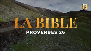 Proverbes 26 Celui qui creuse une fosse y tombe biblevision [upl. by Aisset]