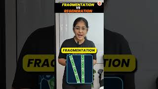 Fragmentation vs Regeneration in 60 Sec🔥 How do Organisms Reproduce Class 10 Cbse2024 10thScience [upl. by Calvinna]