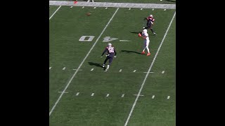 Jaylen Waddle catches for a 20yard Gain vs New England Patriots [upl. by Sosna]