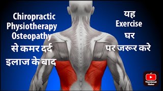 Lower Back Sprains and Strains [upl. by Prader547]