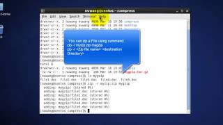 zip  Compress a directory in Linux  TechwithGuru [upl. by Ryan35]