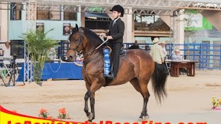 OAGV Feria Agropecuaria Nacional 2015 en Humildad del Abuelo [upl. by Brunk]