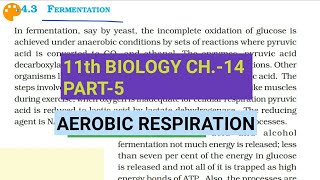 Class 11 BiologyCh14 Part5Aerobic RespirationStudy with Farru [upl. by Yereffej]