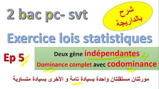 2bac lois statistiques dihybridisme  indépendante gêne a dominance complète lautre codominance [upl. by Dyrrej]