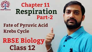 Class 12 Chapter 11 Respiration  Fate of Pyruvic Acid  Krebs Cycle  RBSE Biology Part2 [upl. by Ahsiuqat]