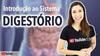 Sistema Digestório 15 Introdução Funções Órgãos e Histologia  Anatomia e etc [upl. by Ettezzil651]