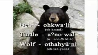 Oneida Language Charlie the Talking Oneida Bear Shekoli [upl. by Coady]