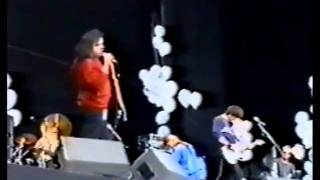 Mercury Rev  Trickle Down  live at Phoenix Festival 1993 Boces [upl. by Portie137]