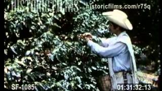 VINTAGE COMMERCIAL  JUAN VALDEZ COFFEE  1970s [upl. by Enahsed117]