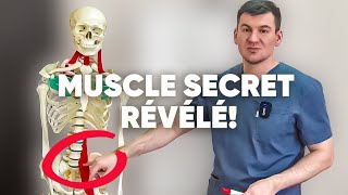 Muscle le plus important Découvert par des scientifiques de lURSS et caché pendant 120 ans [upl. by Clements585]