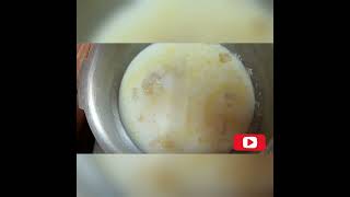 Paal Pongal Recipe in Tamil 🍚🍚 [upl. by Chery68]