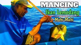 CARA MANCING IKAN LEMEDANGMAHIMAHI DI RUMPON [upl. by Idnek646]