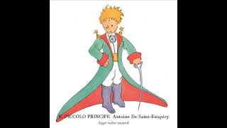 IL PICCOLO PRINCIPE Antoine De Saint Exupéry LETTURA INTEGRALE [upl. by Nahoj]