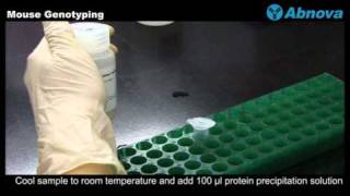 Mouse Genotyping [upl. by Darn]