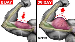 أقوي تمرين البايسبس لتوسيع البايسبس والذراع بسرعة  Wider Biceps Workout [upl. by Queena]