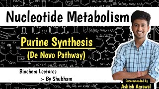 De Novo Synthesis Of Purine Nucleotides  Nucleotide Metabolism  Biochemistry Lectures [upl. by Bordy502]