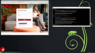 Using Netflix on Linux [upl. by Toney]